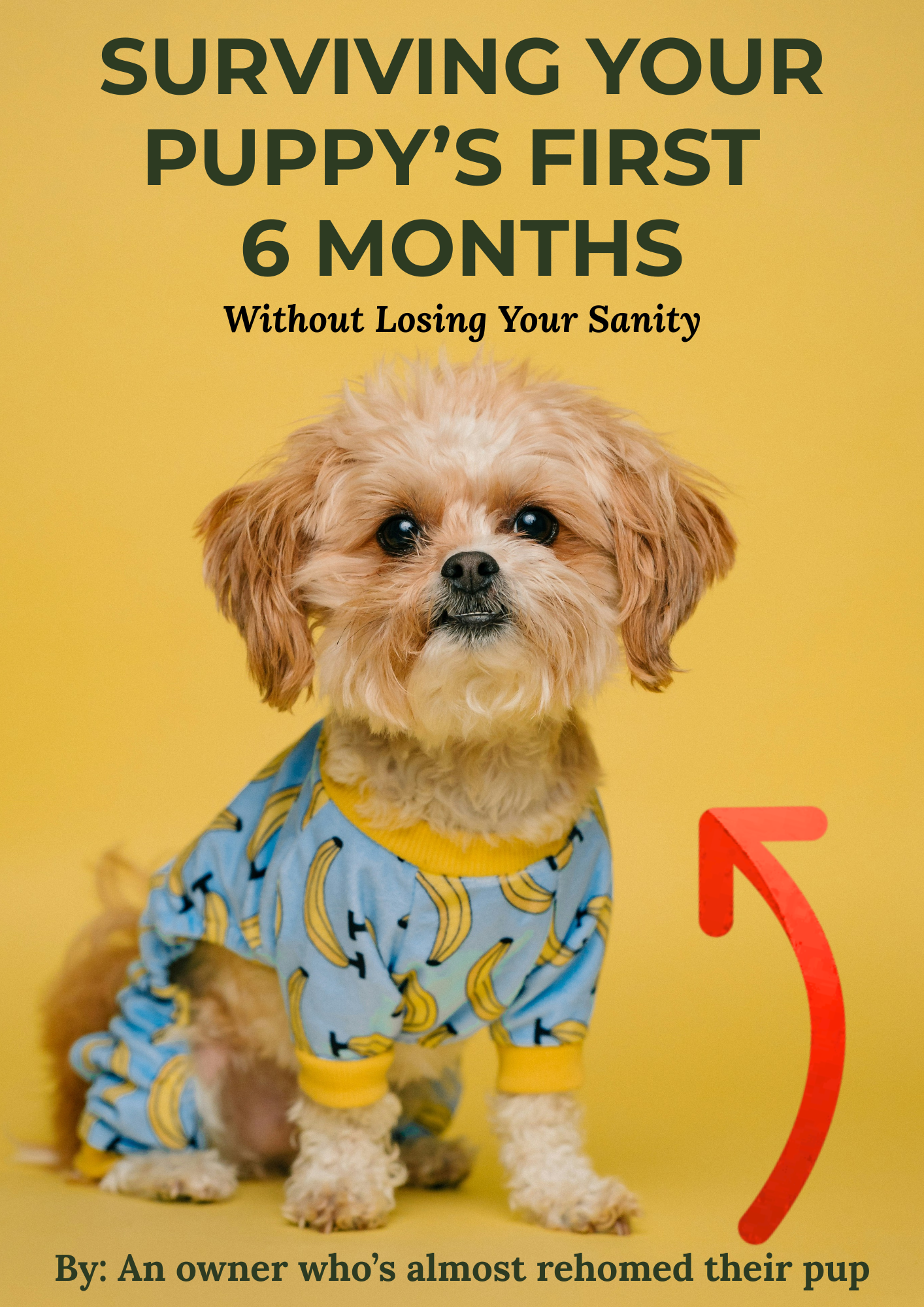 Surviving Your Puppy’s First 6 Months Without Losing Your Sanity